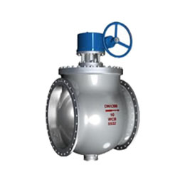 ��װʽƫ�İ���