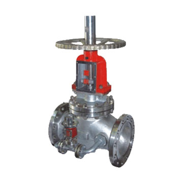 ������ֹ��